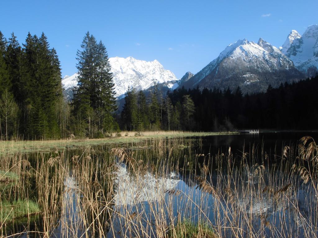דירות Ramsau bei Berchtesgaden Haus Buchenwald מראה חיצוני תמונה